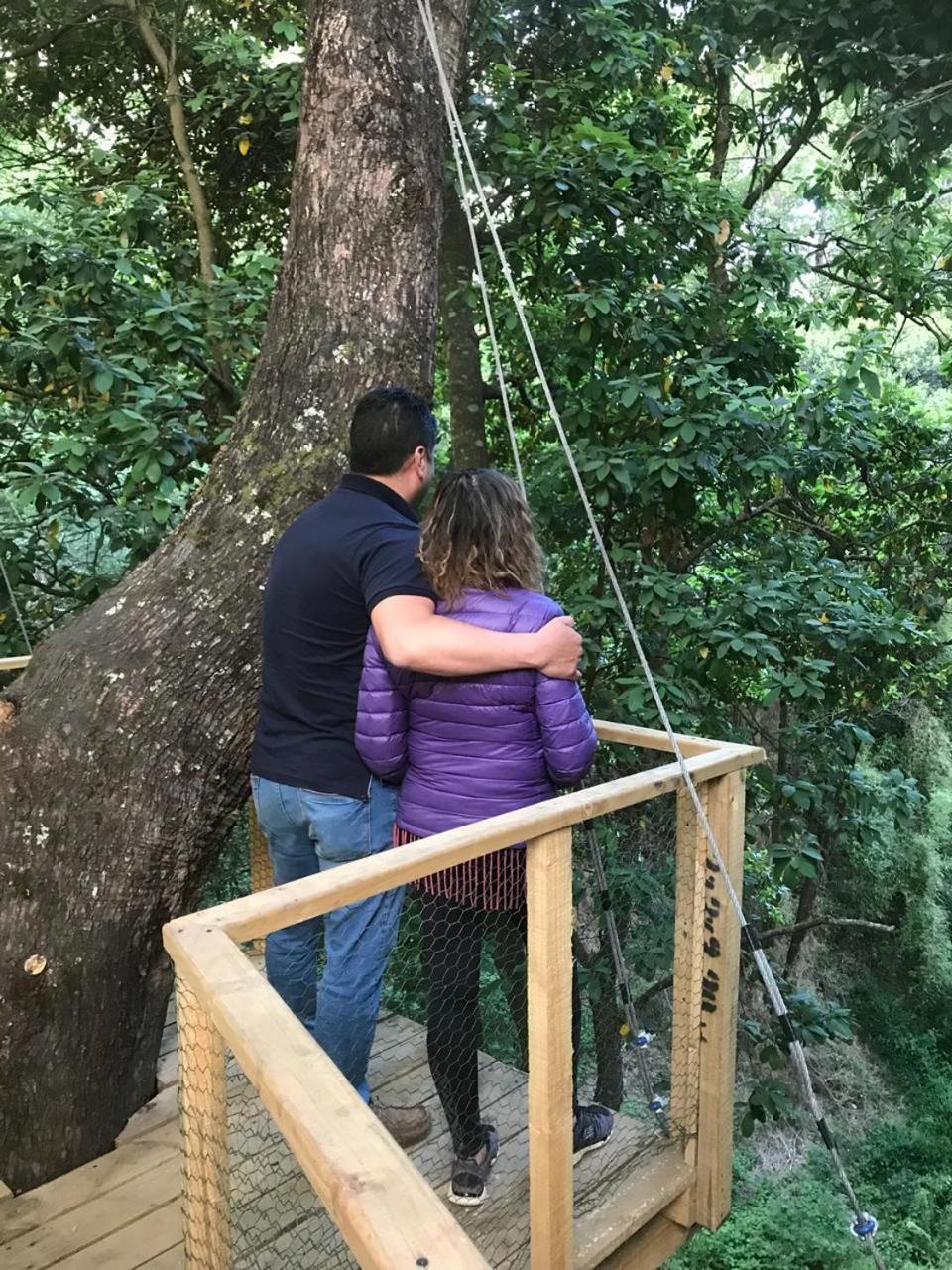 Hotel Cabanas Bosques De Loncotraro Villarrica Exteriér fotografie