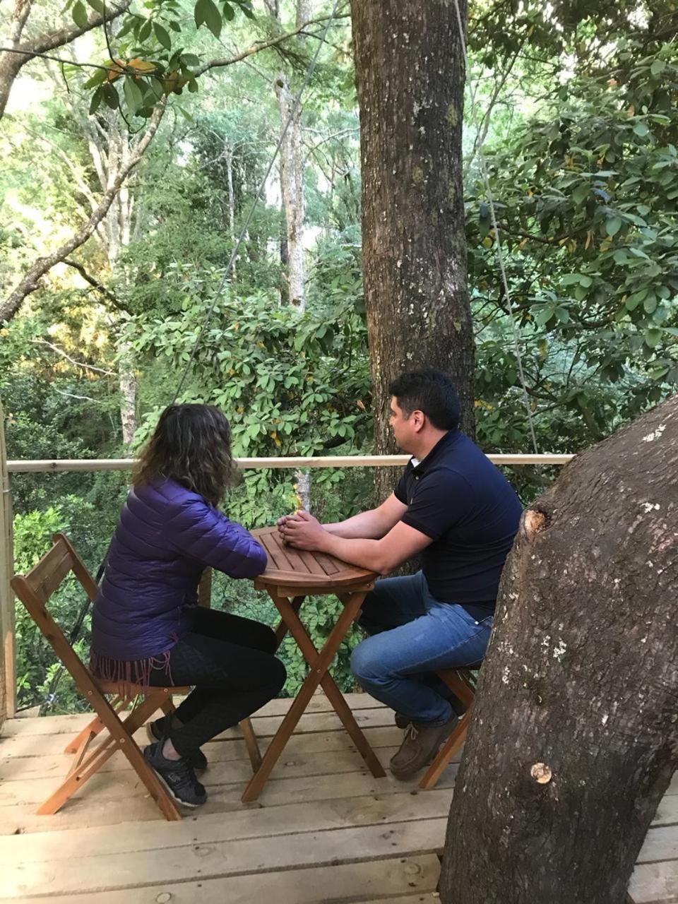Hotel Cabanas Bosques De Loncotraro Villarrica Exteriér fotografie