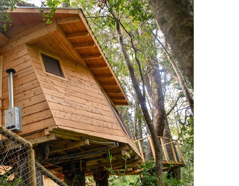 Hotel Cabanas Bosques De Loncotraro Villarrica Exteriér fotografie