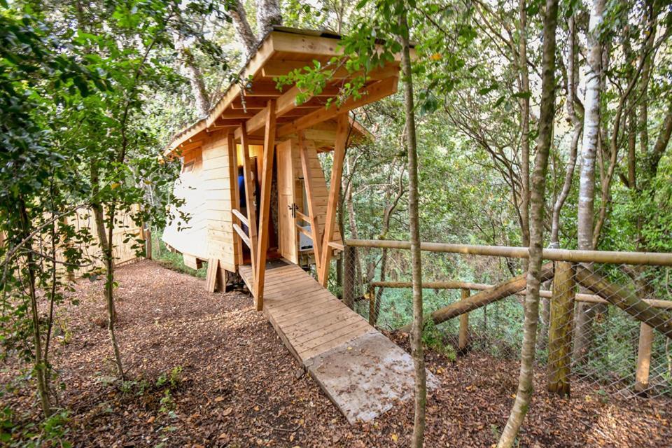 Hotel Cabanas Bosques De Loncotraro Villarrica Exteriér fotografie