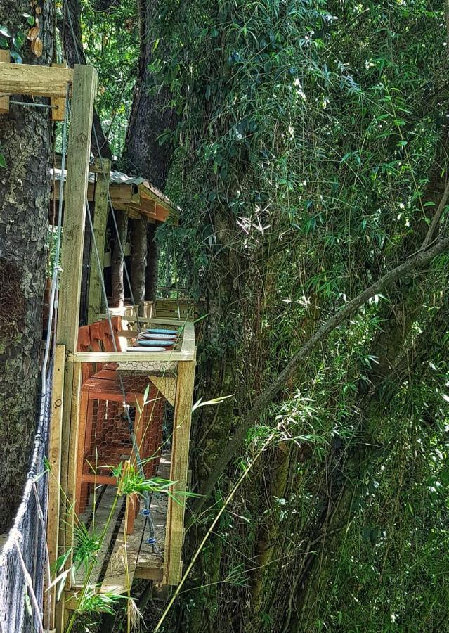 Hotel Cabanas Bosques De Loncotraro Villarrica Exteriér fotografie