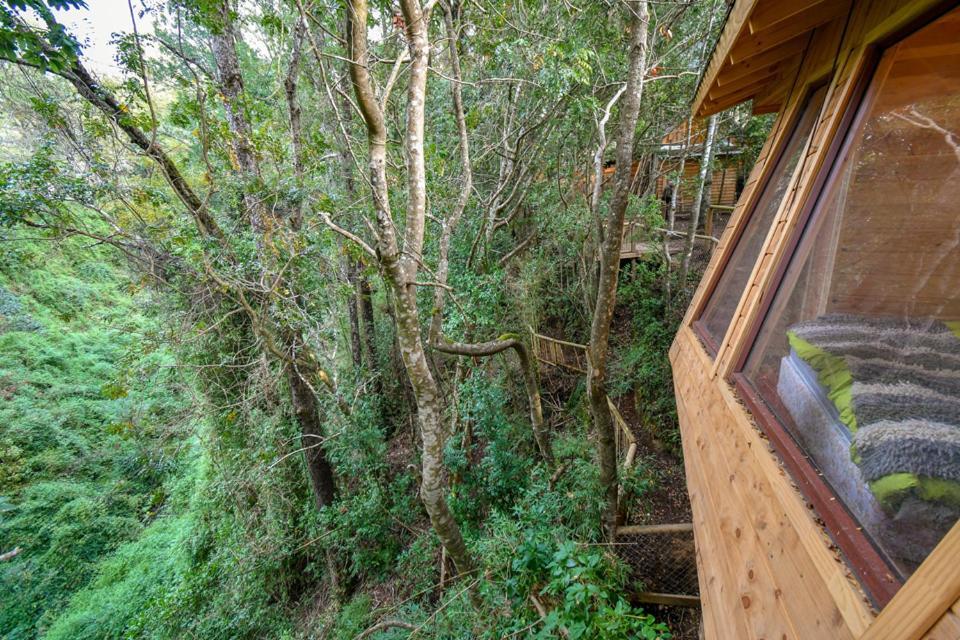 Hotel Cabanas Bosques De Loncotraro Villarrica Exteriér fotografie